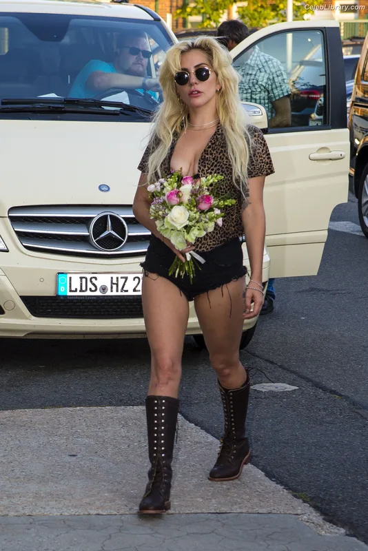 Lady Gaga photo 2 of 1595