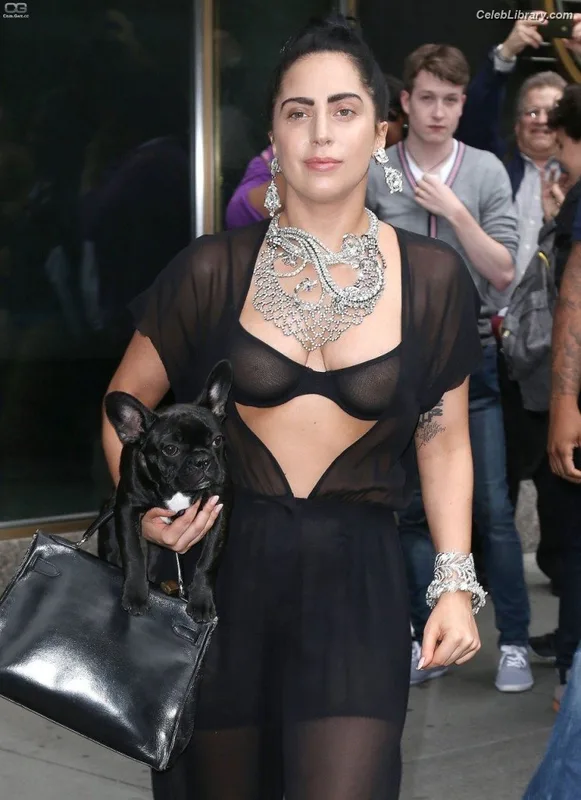 Lady Gaga photo 3 of 1595