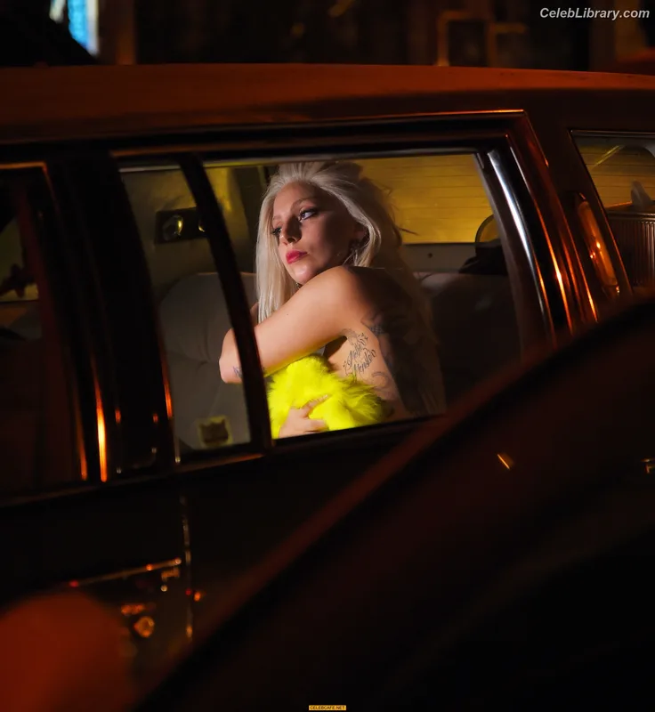 Lady Gaga photo 1 of 1595
