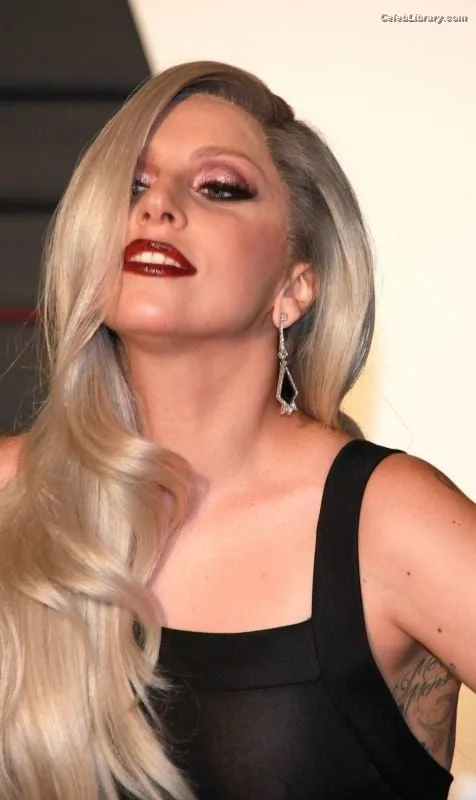 Lady Gaga photo 16 of 1595