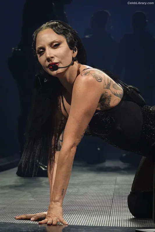 Lady Gaga photo 13 of 1595