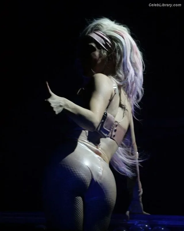 Lady Gaga photo 14 of 1595