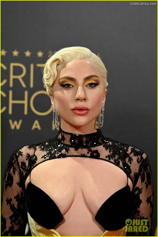 Lady Gaga photo 13 of 1595