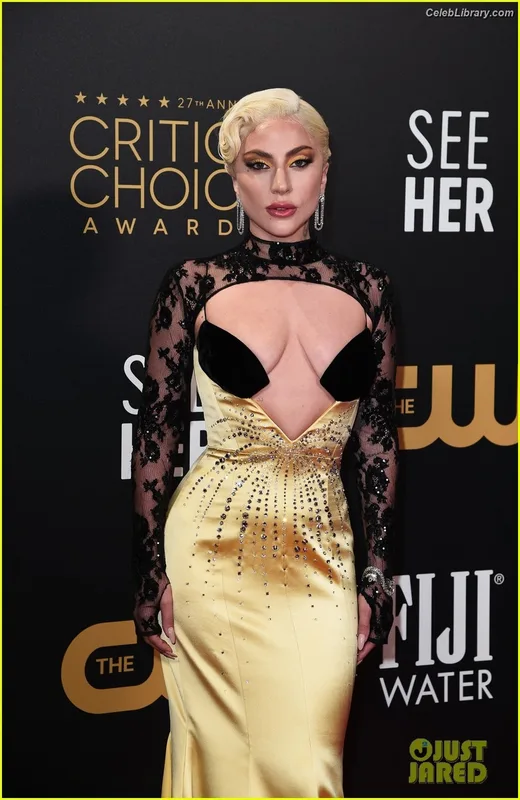 Lady Gaga photo 16 of 1595