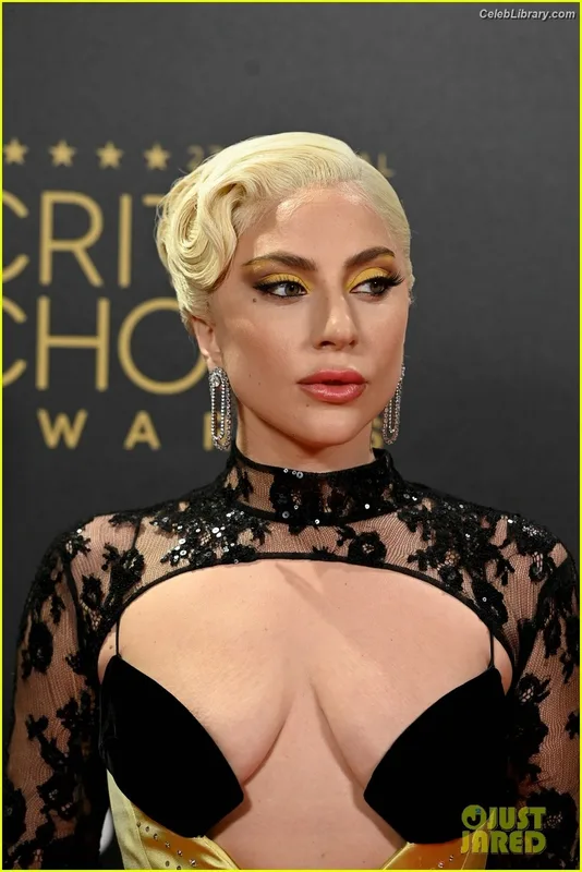 Lady Gaga photo 17 of 1595
