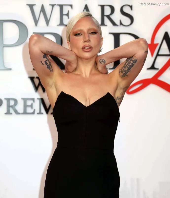 Lady Gaga photo 1 of 1595