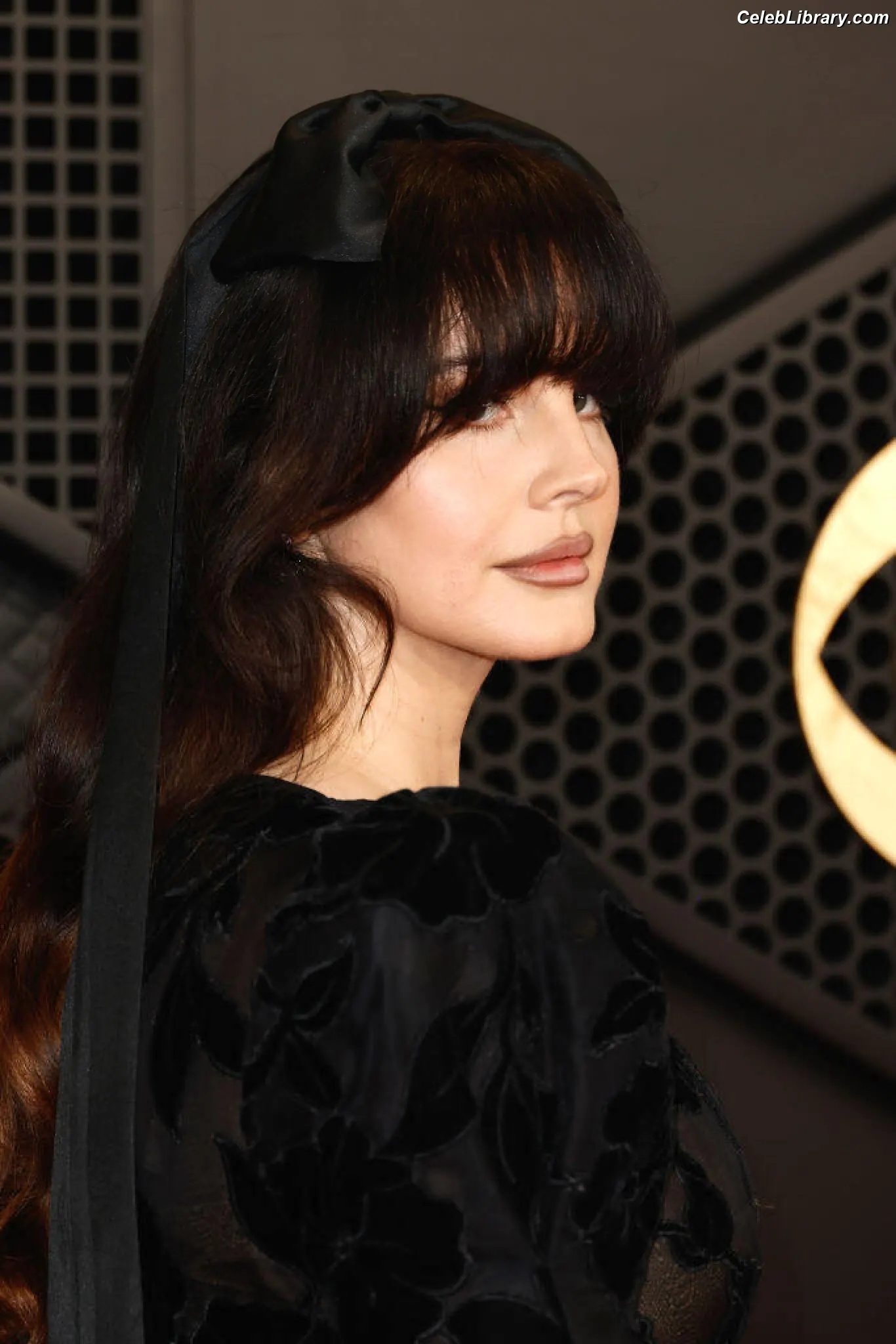 Lana Del Rey photo 21 of 562