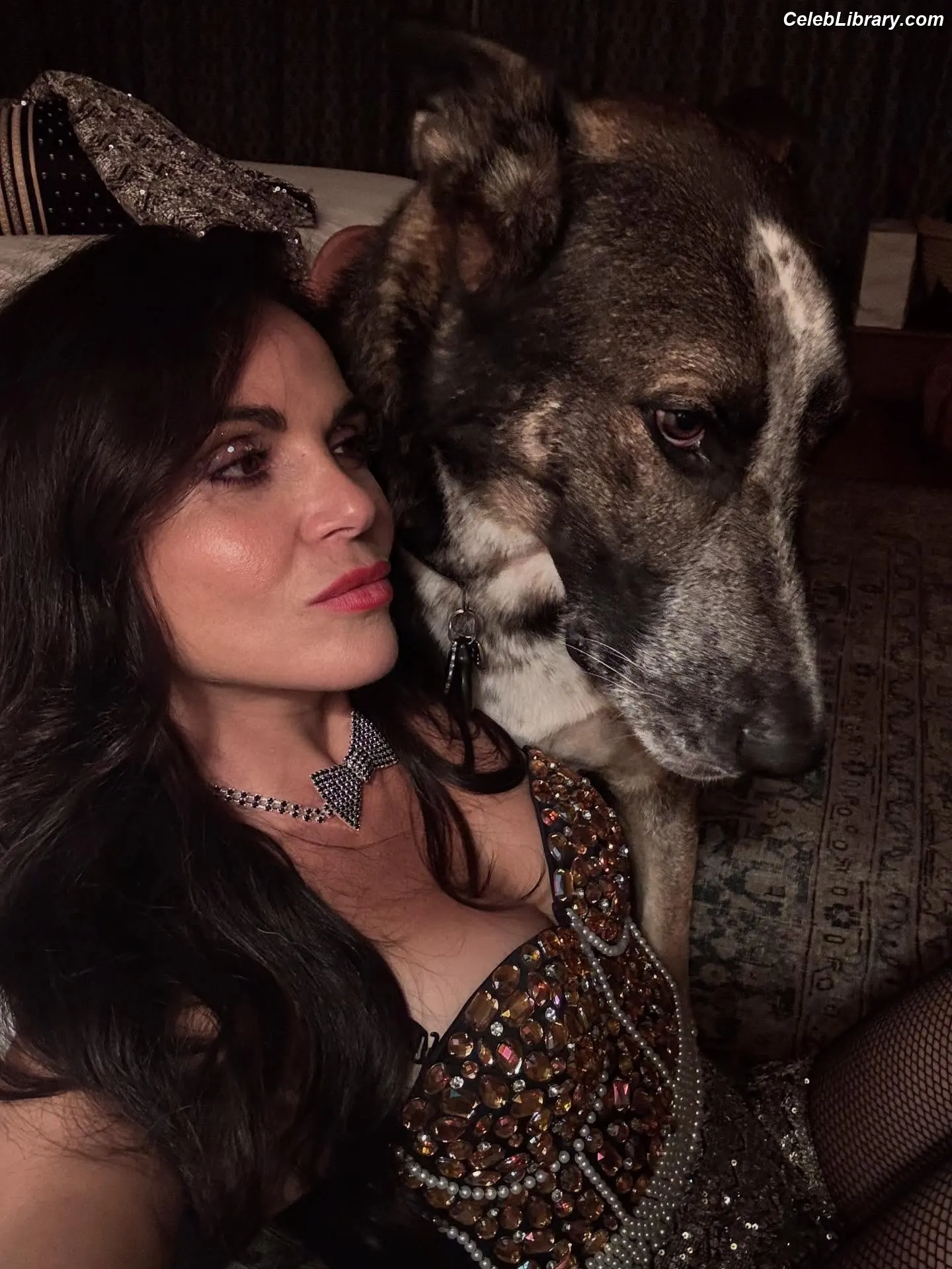 Lana Parrilla photo 16 of 48