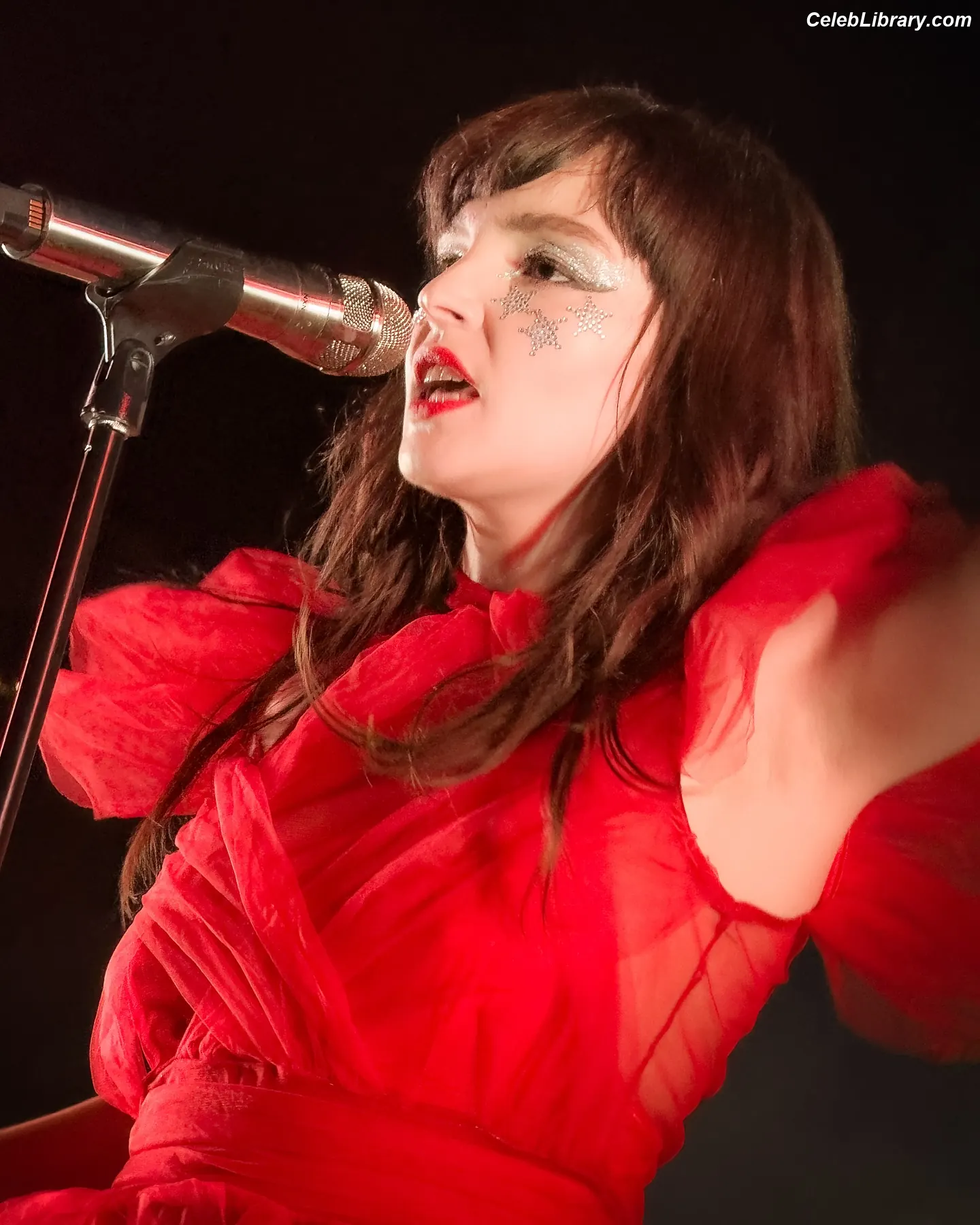 Lauren Mayberry photo 1 of 1227