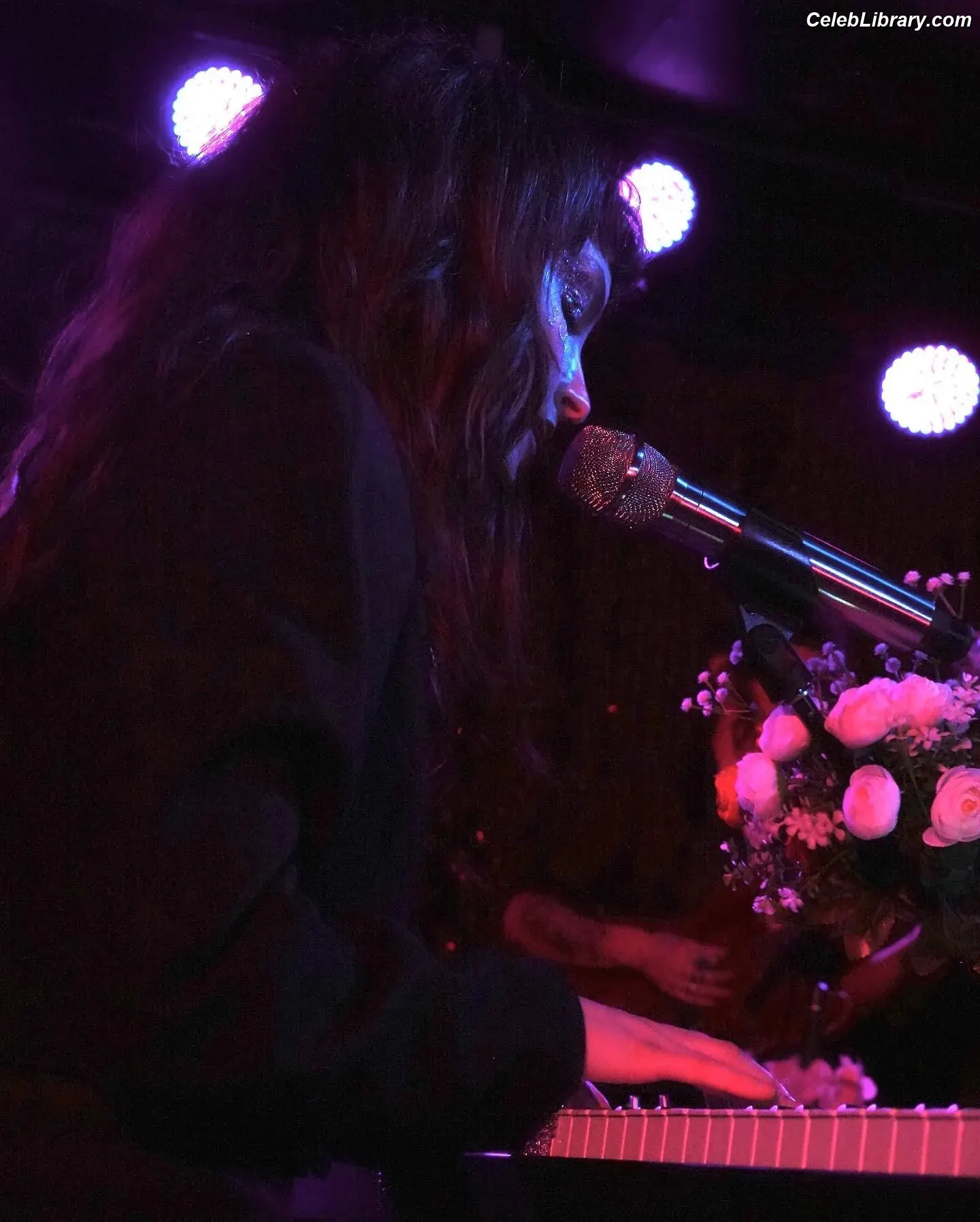 Lauren Mayberry photo 7 of 1227