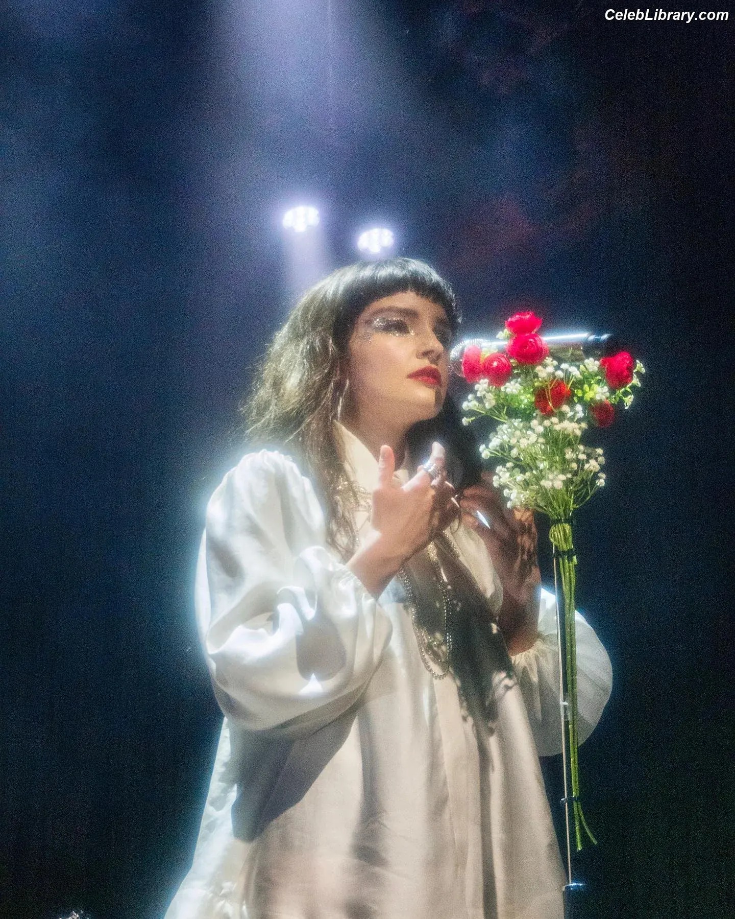 Lauren Mayberry photo 17 of 1227