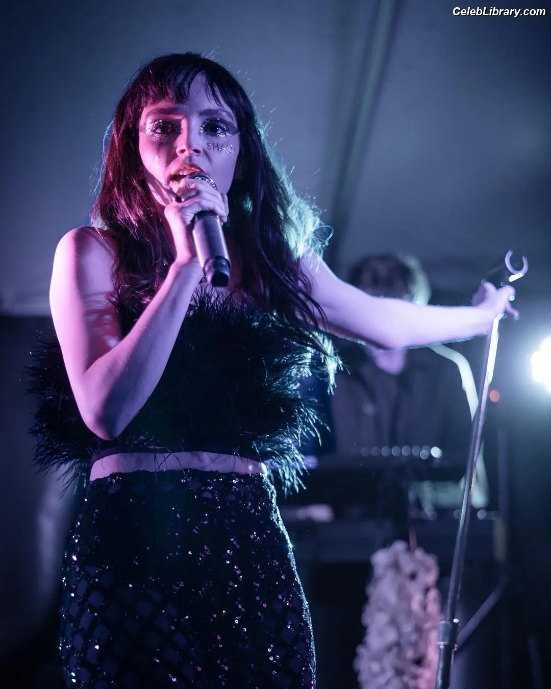 Lauren Mayberry photo 1 of 1227