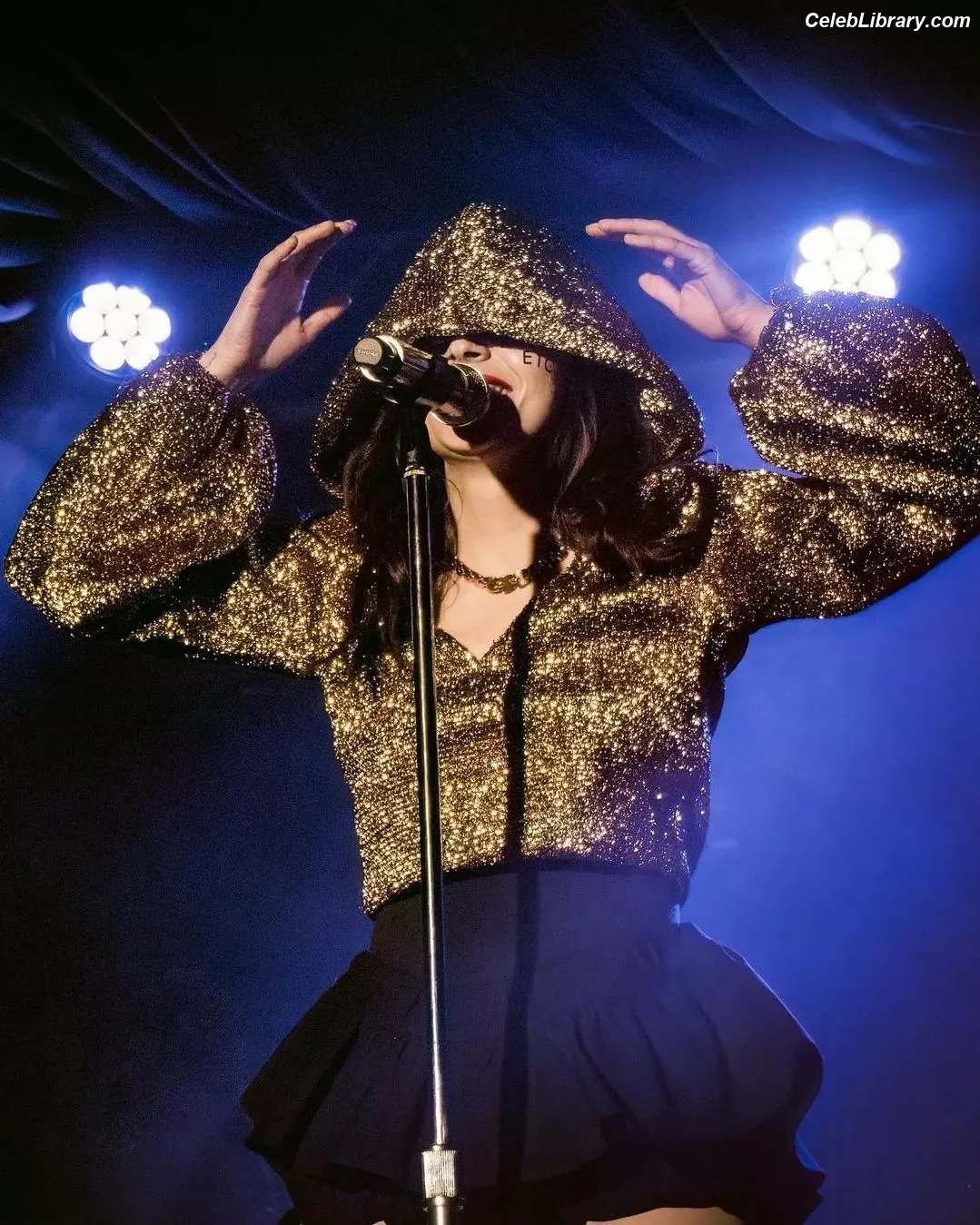 Lauren Mayberry photo 5 of 1227