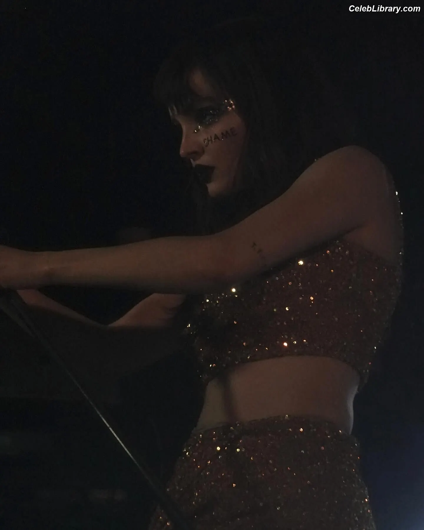 Lauren Mayberry photo 23 of 1227