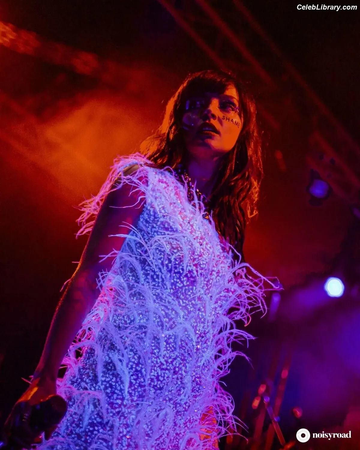 Lauren Mayberry photo 8 of 1227