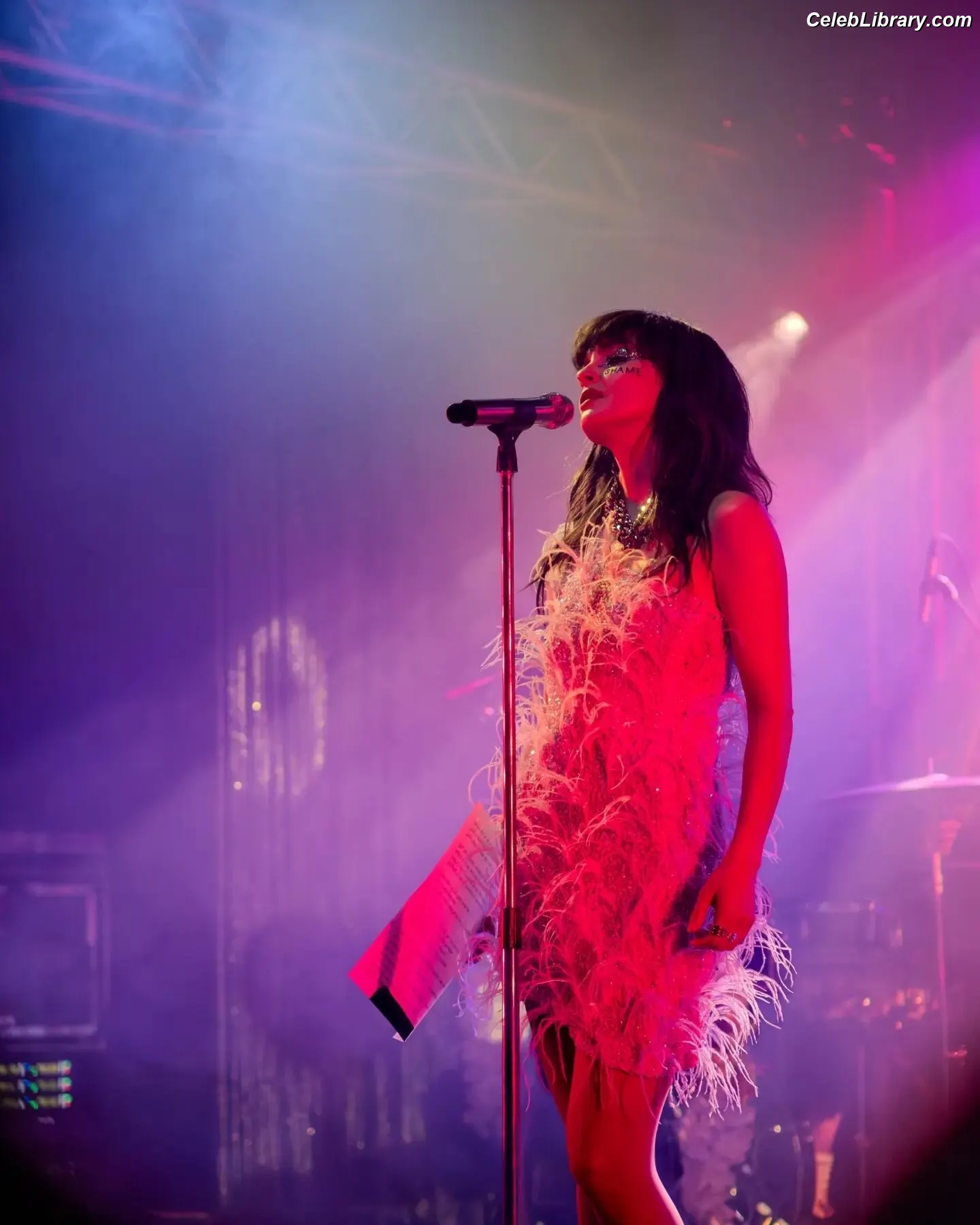 Lauren Mayberry photo 14 of 1227