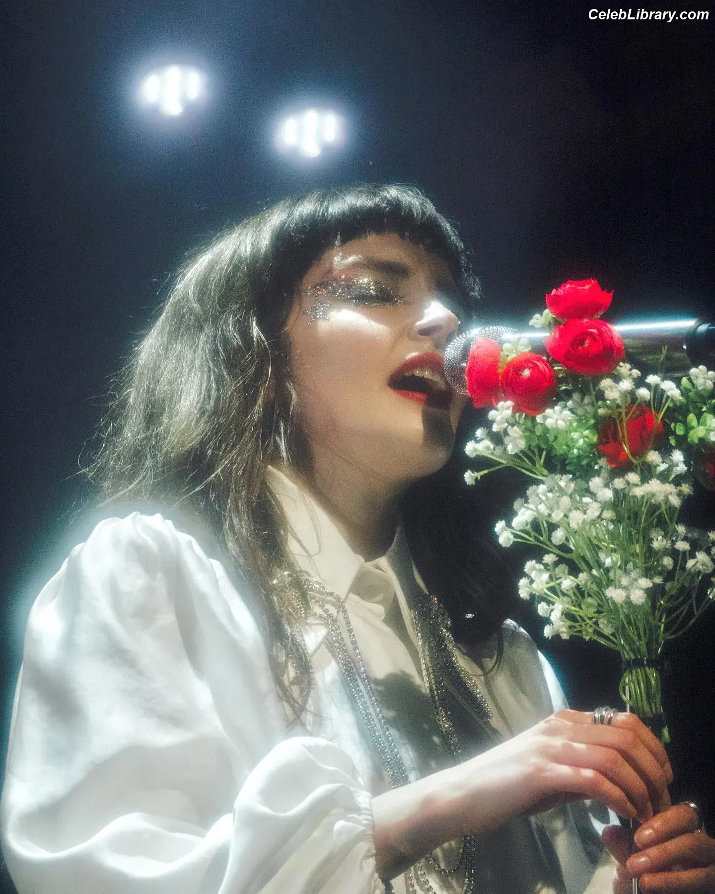 Lauren Mayberry photo 3 of 1227
