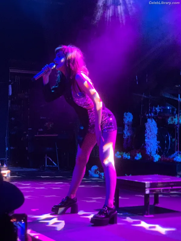 Lauren Mayberry photo 3 of 1227