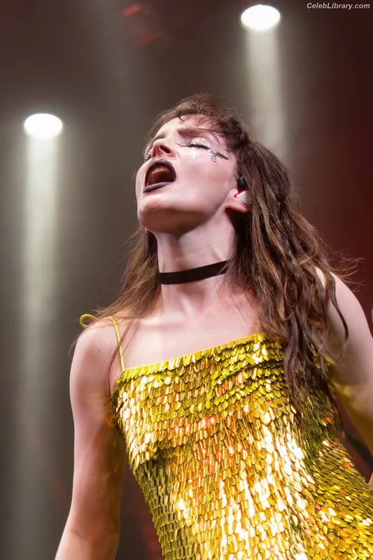Lauren Mayberry photo 1 of 1227