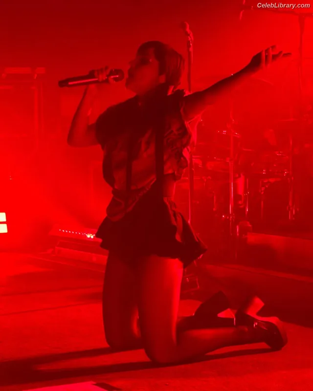 Lauren Mayberry photo 9 of 1227