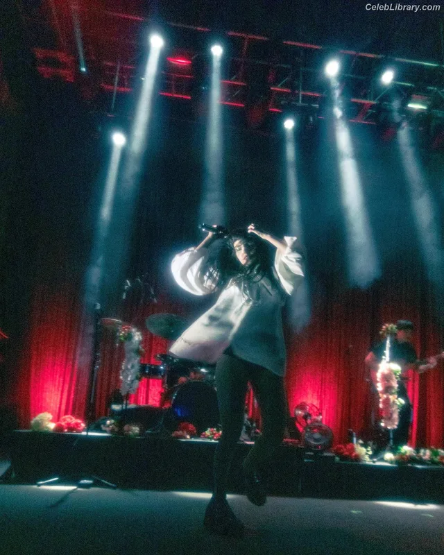 Lauren Mayberry photo 1 of 1227