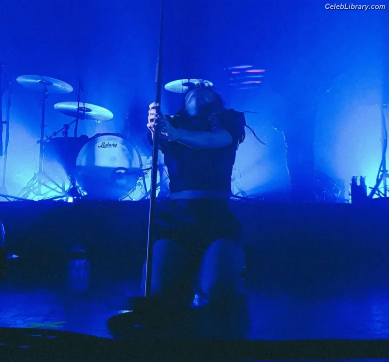 Lauren Mayberry photo 22 of 1227