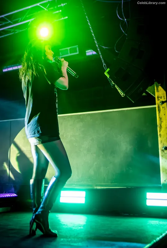 Lauren Mayberry photo 7 of 1227