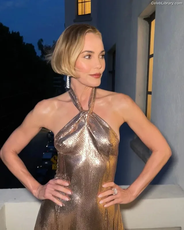 Leslie Bibb photo 23 of 101