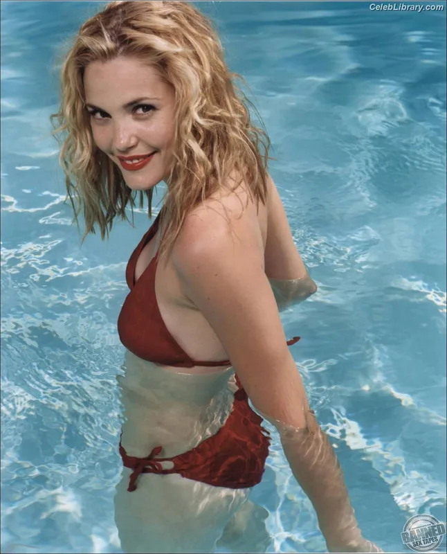 Leslie Bibb photo 15 of 101