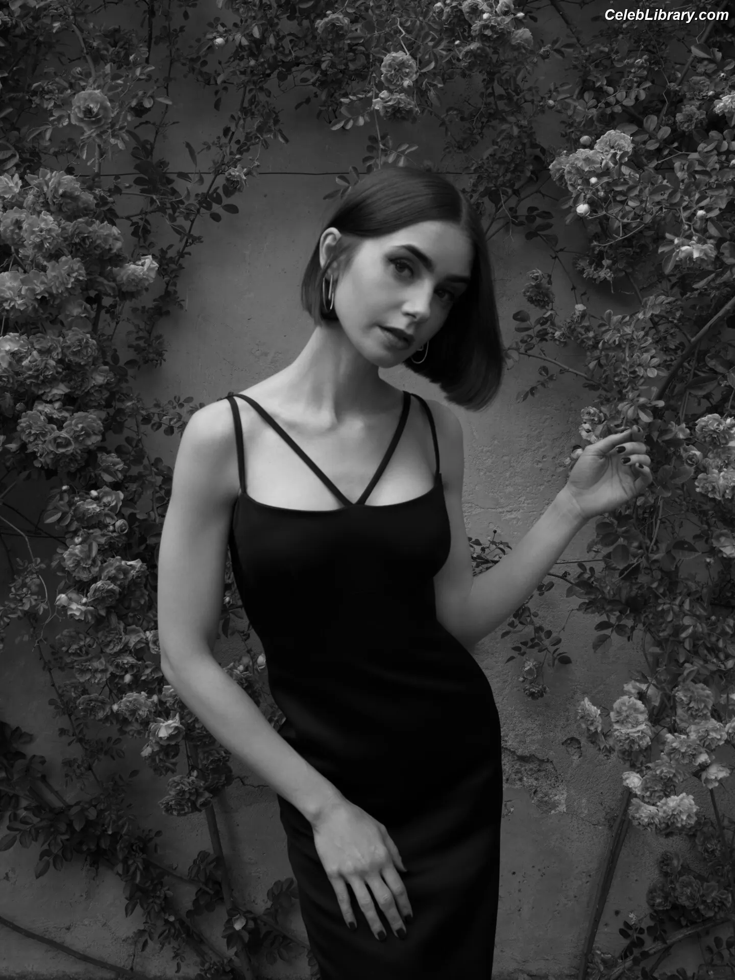 Lily Collins photo 3 of 837