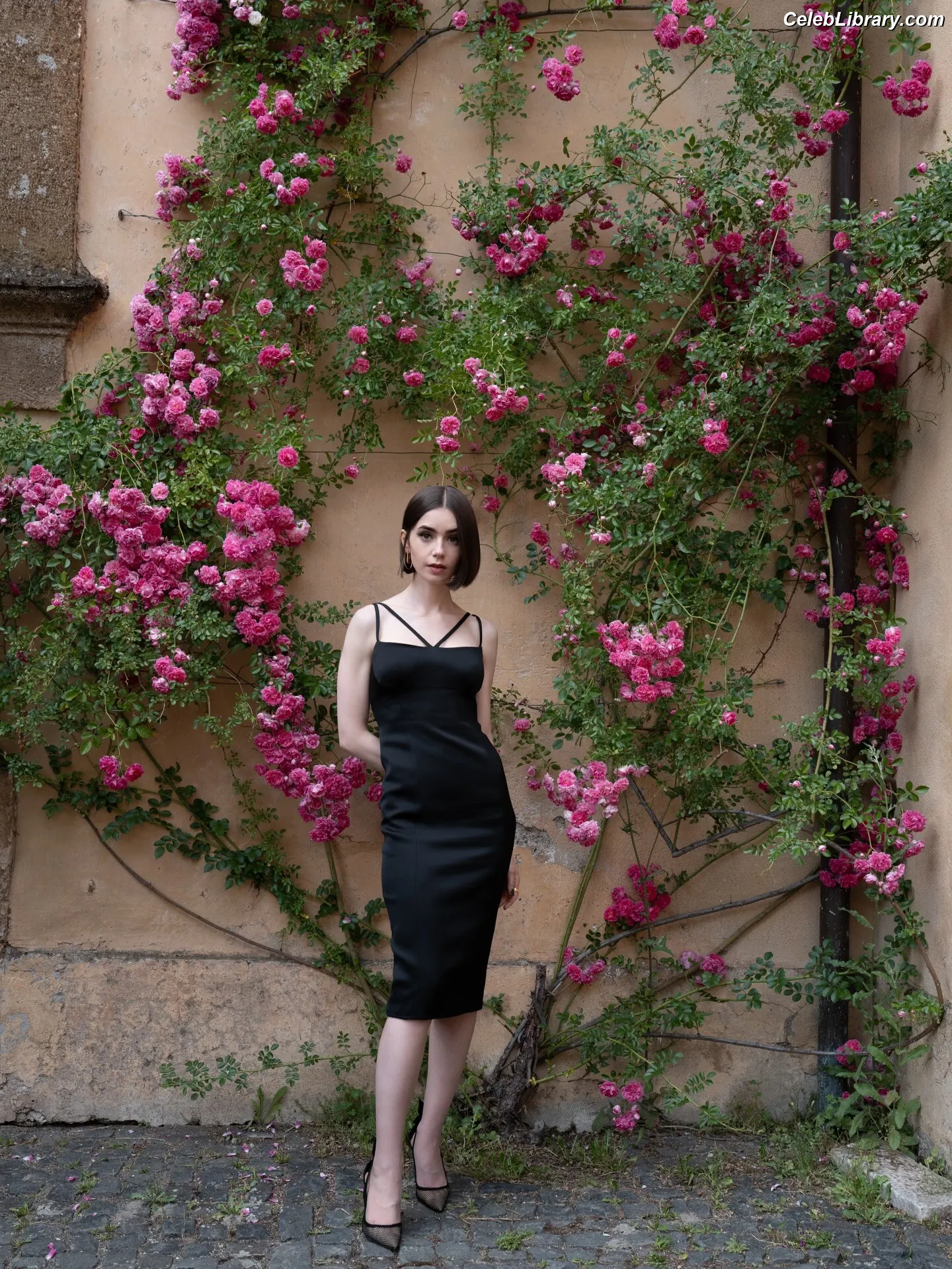 Lily Collins photo 14 of 837