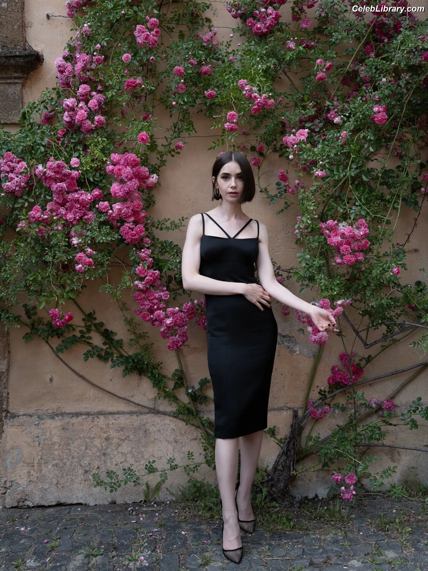 Lily Collins photo 15 of 837