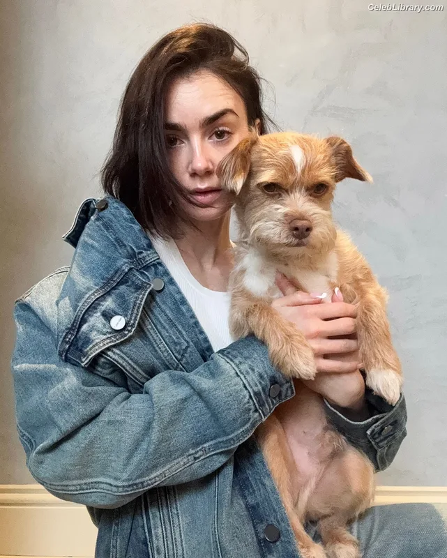 Lily Collins photo 4 of 838