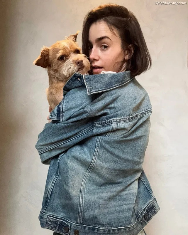 Lily Collins photo 5 of 838