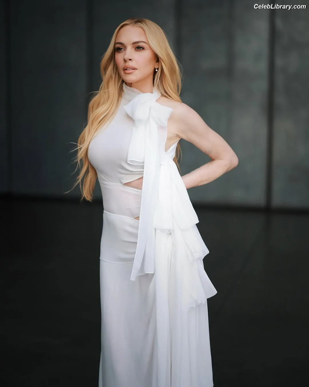 Lindsay Lohan photo 1 of 776