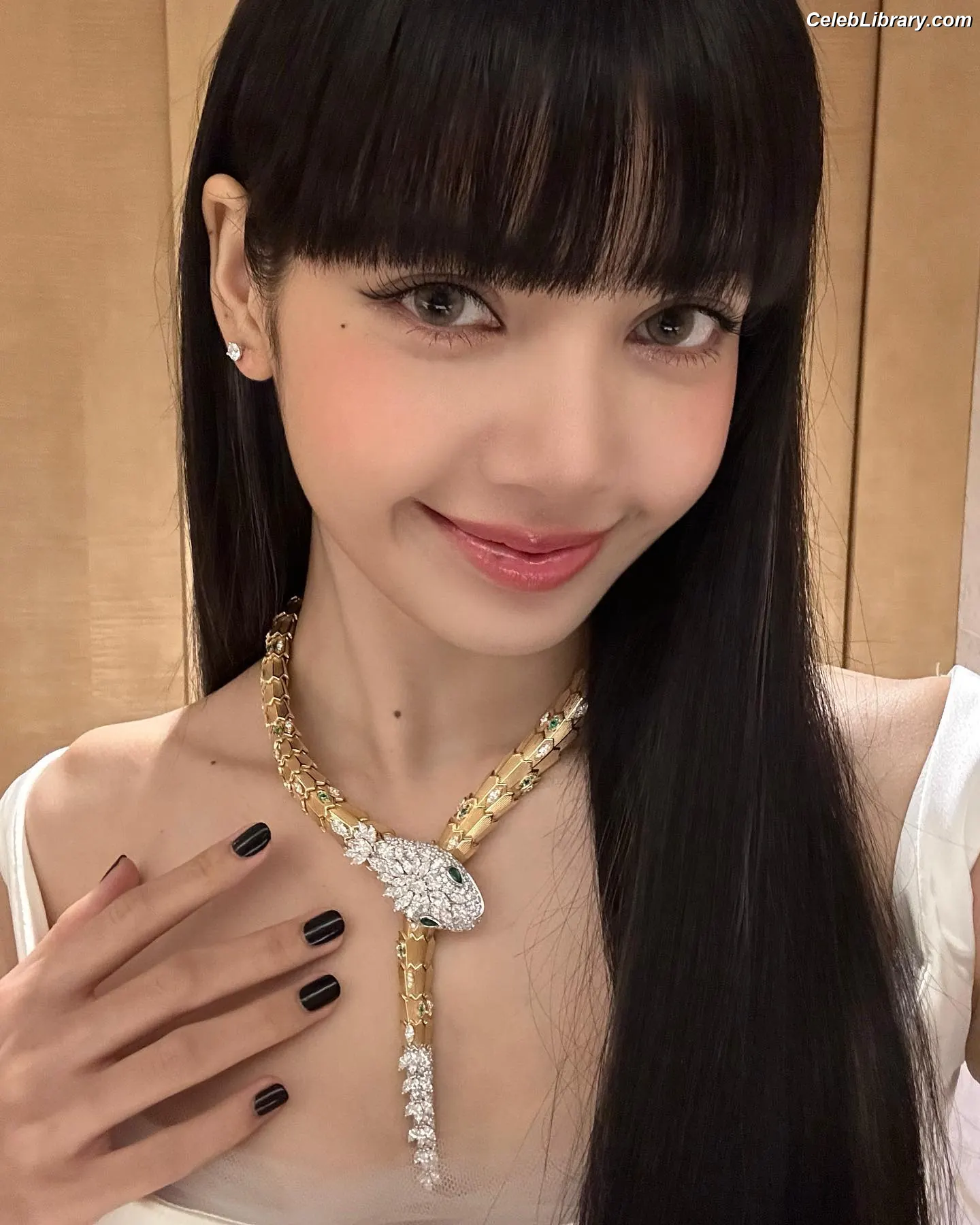 Lisa  BLΛƆKPIИK (Blackpink) photo 2 of 6182