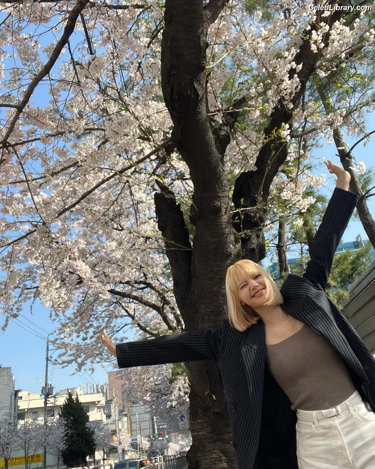 Lisa BLΛƆKPIИK (Blackpink) photo 1 of 6182