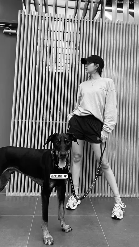 Lisa BLΛƆKPIИK (Blackpink) photo 8 of 6190