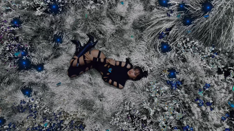 Lisa BLΛƆKPIИK (Blackpink) photo 10 of 6190