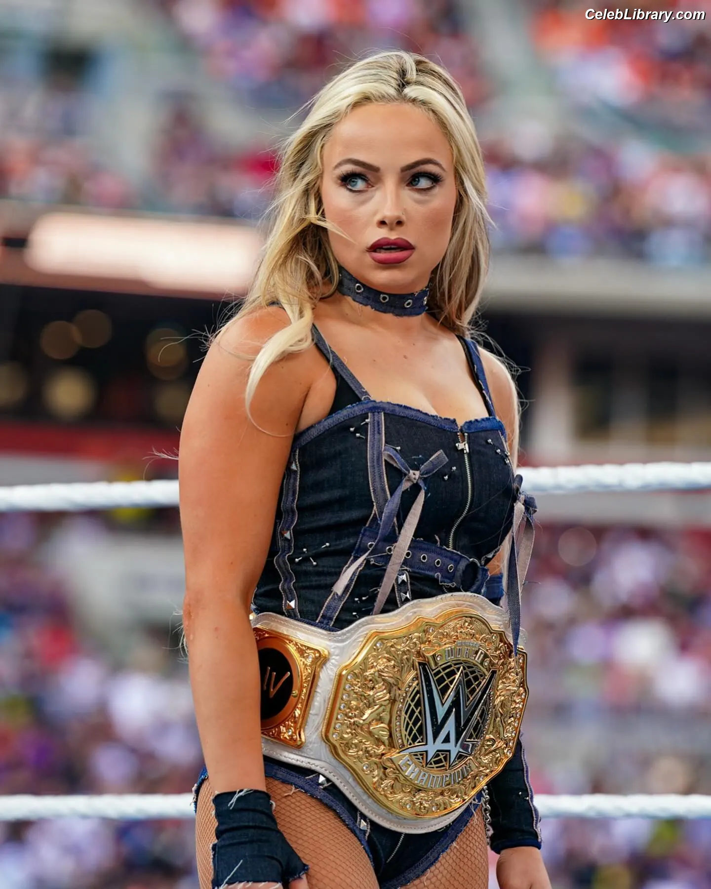Liv Morgan photo 11 of 1803
