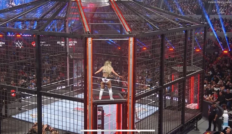 Liv Morgan photo 10 of 1800
