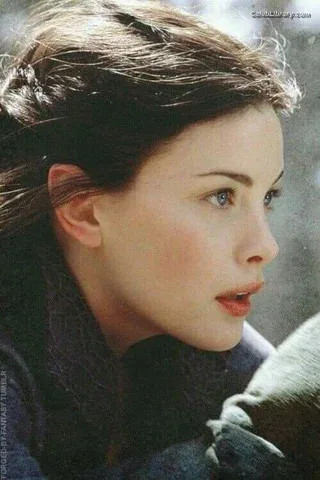 Liv Tyler photo 16 of 73