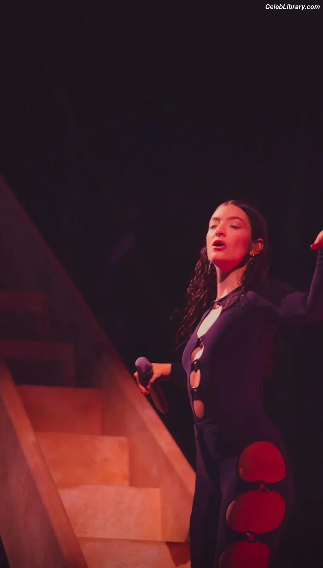Lorde photo 9 of 543