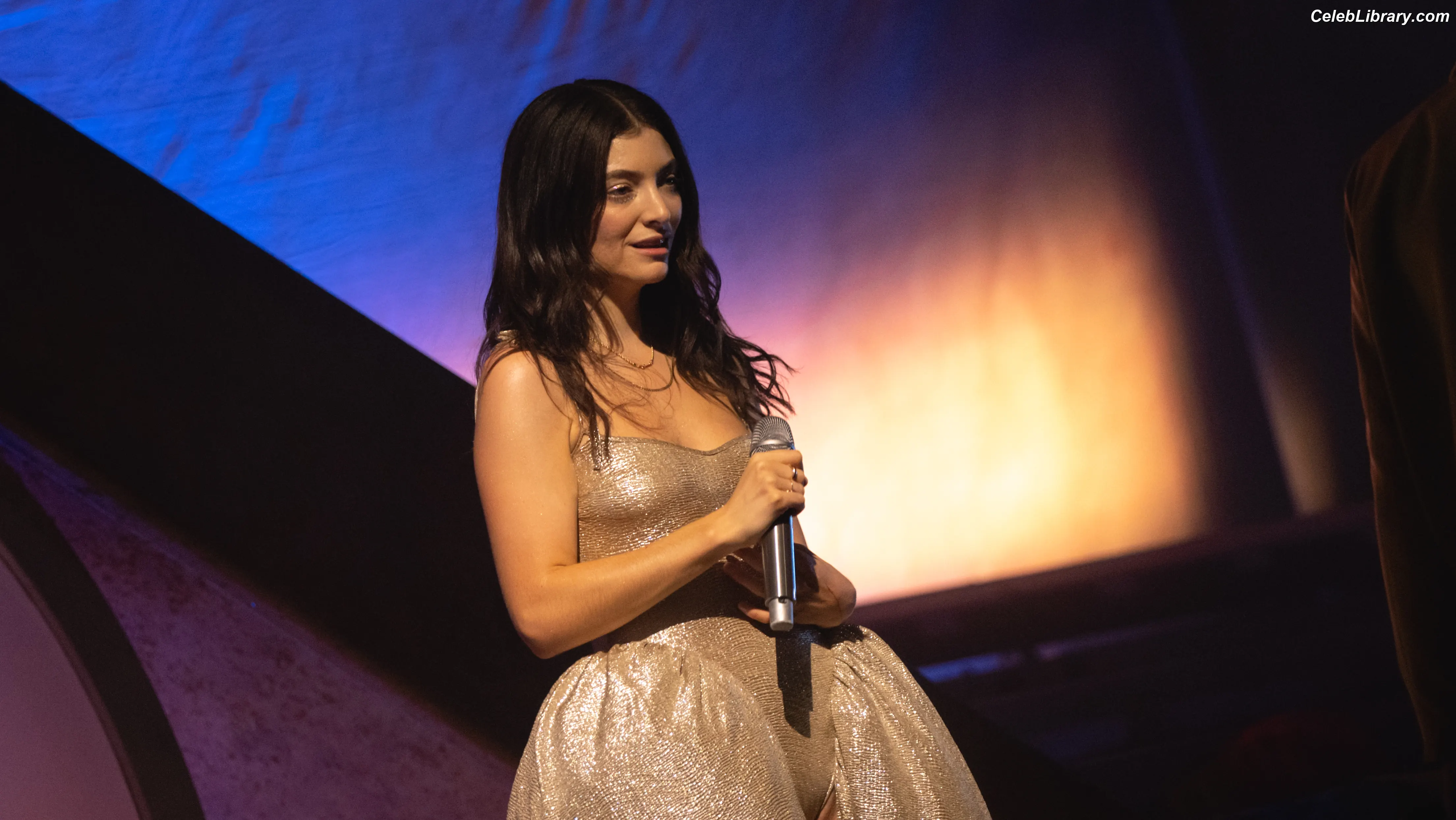 Lorde photo 24 of 543