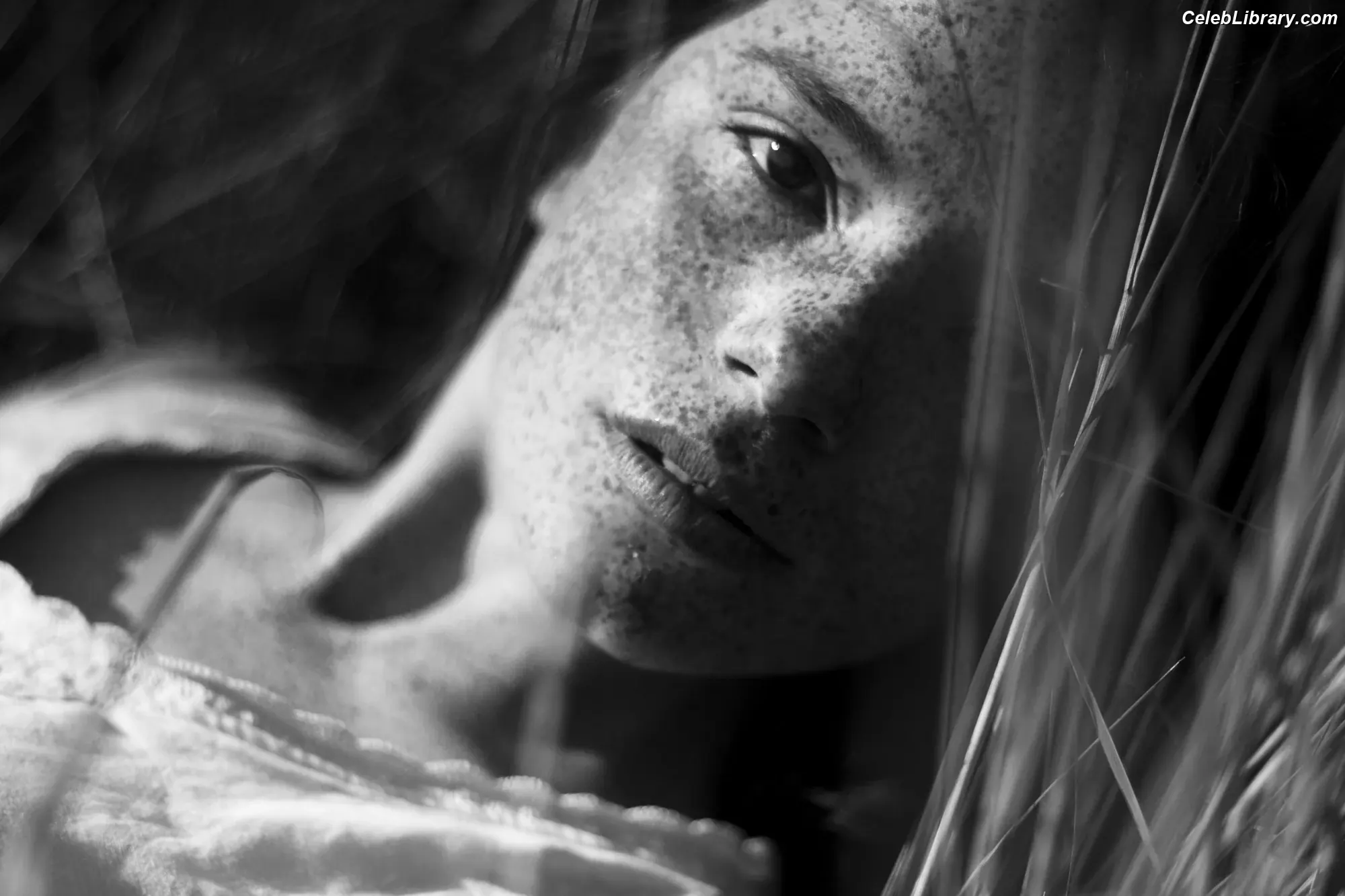 Luca Hollestelle photo 1 of 484