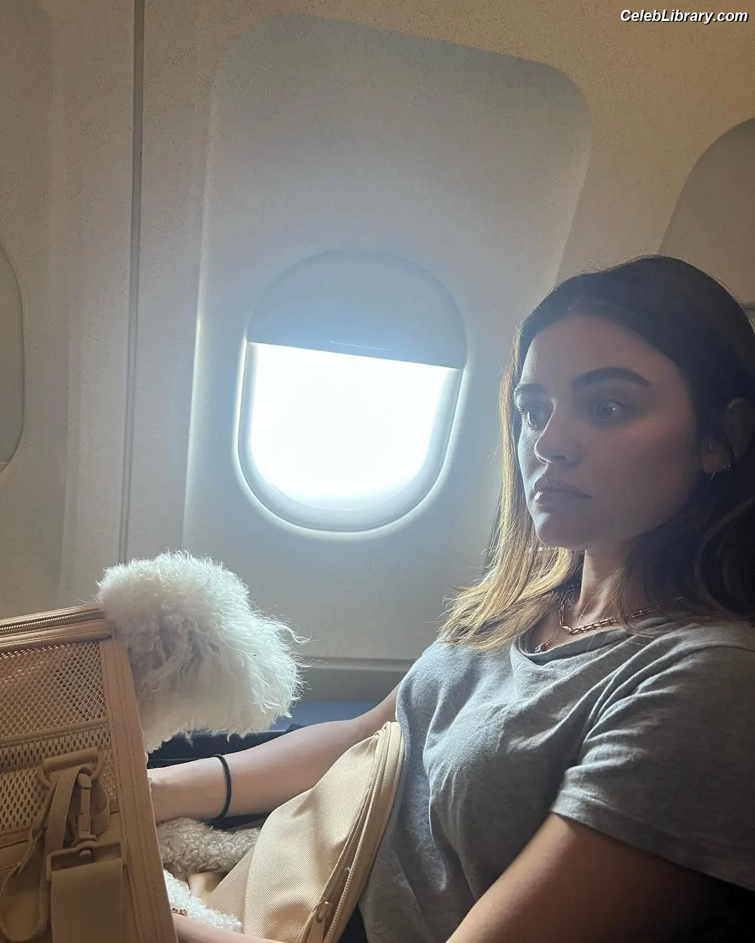 Lucy Hale photo 11 of 819