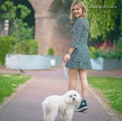 Lucy Hale photo 19 of 808