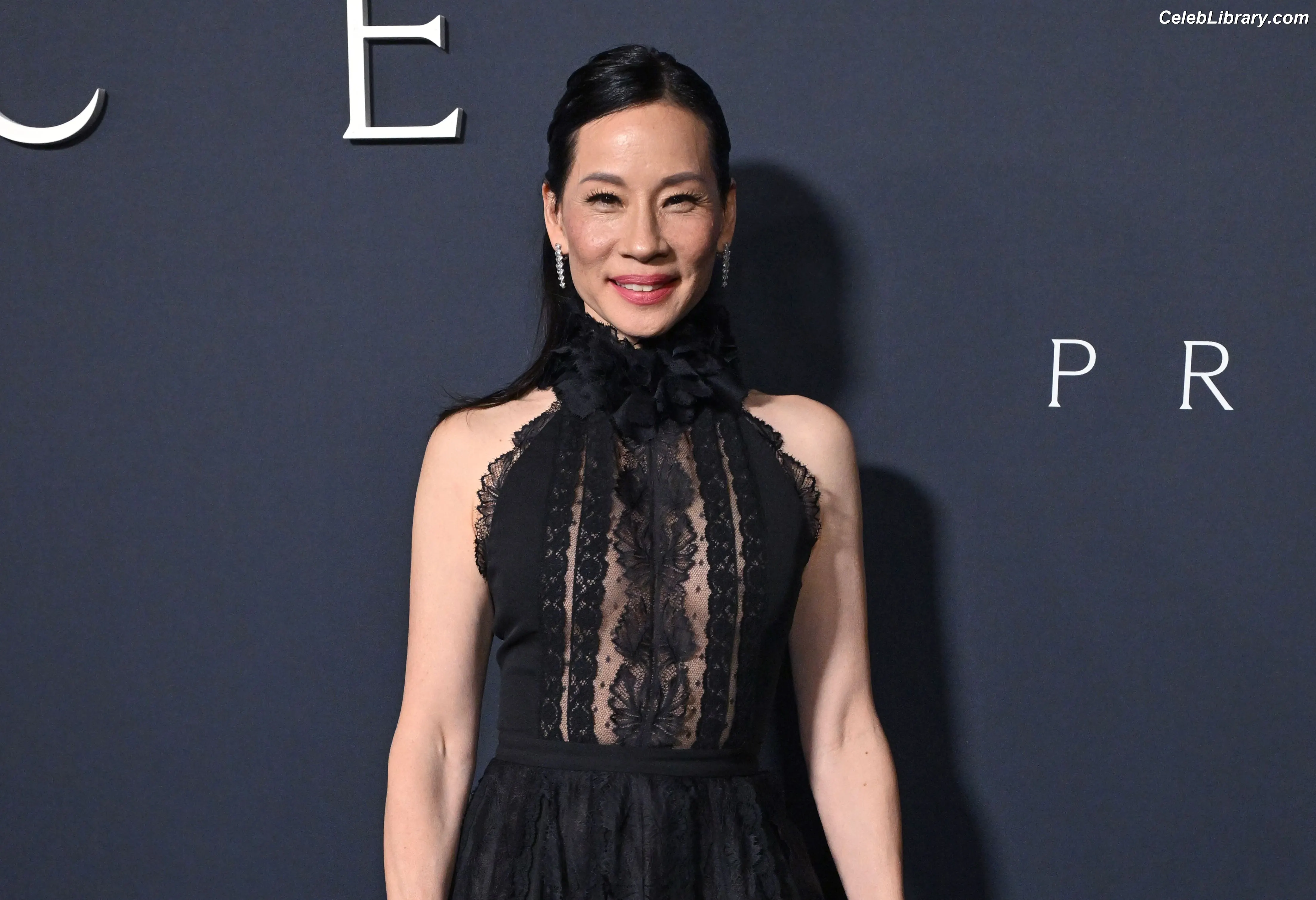 Lucy Liu photo 22 of 127