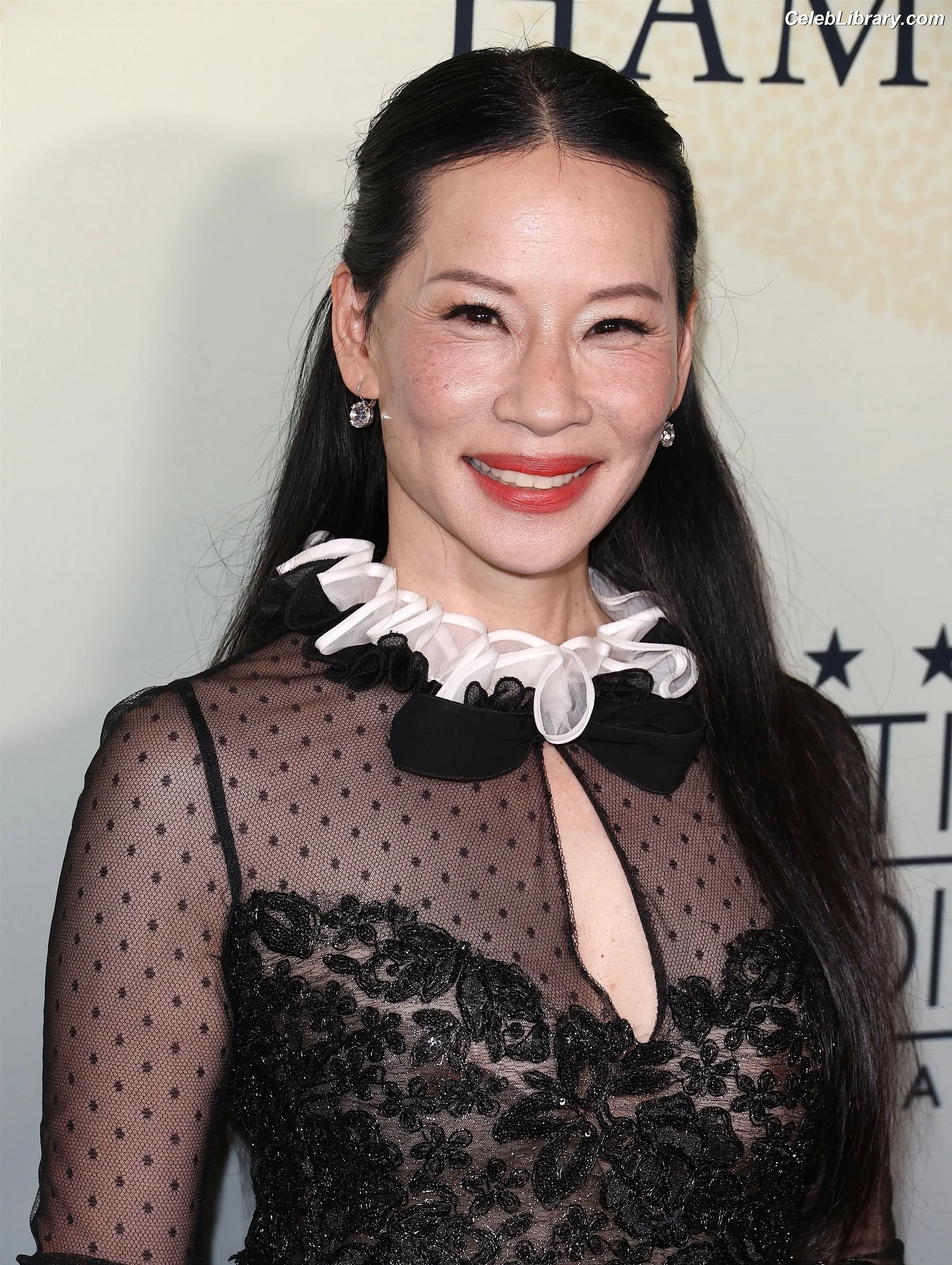 Lucy Liu photo 3 of 127