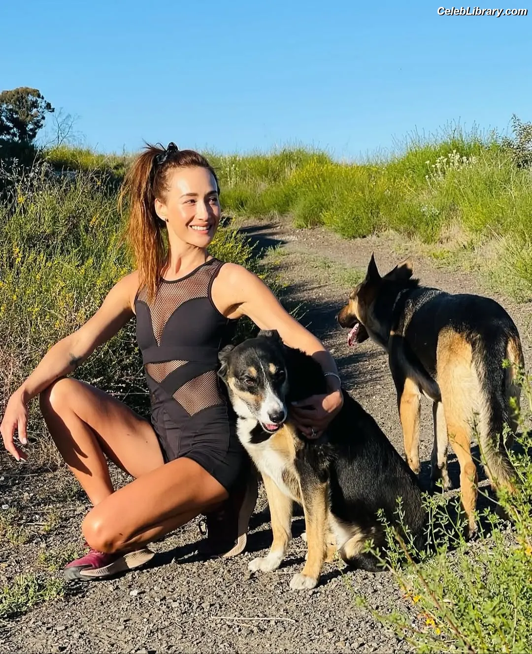 Maggie Q photo 2 of 84
